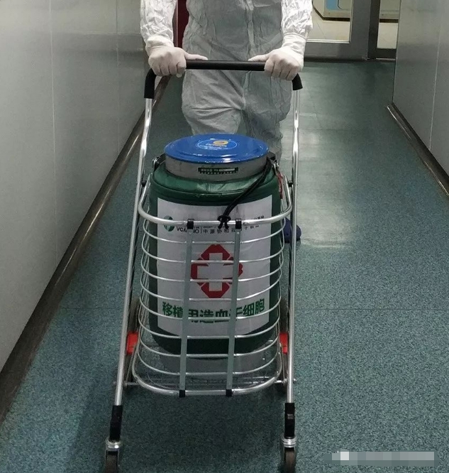 使用東亞系列液氮罐轉(zhuǎn)運(yùn)中